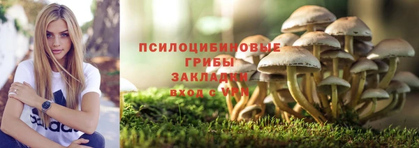 ECSTASY Михайловск